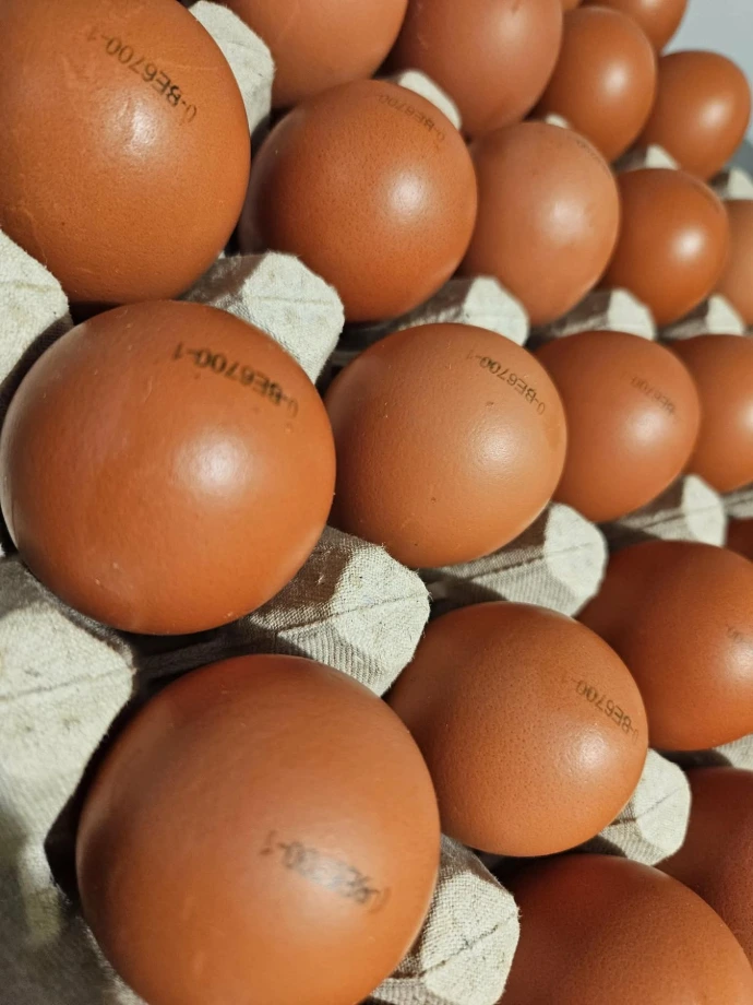 Oeufs